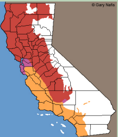 <p>Which Emydidae range? (colors count as 1 species as a whole)</p>