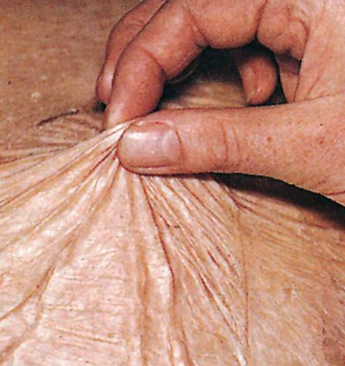 <p>Tenting</p>