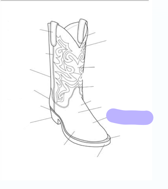 <p>What part of the boot is this? (labeled in purple)</p>