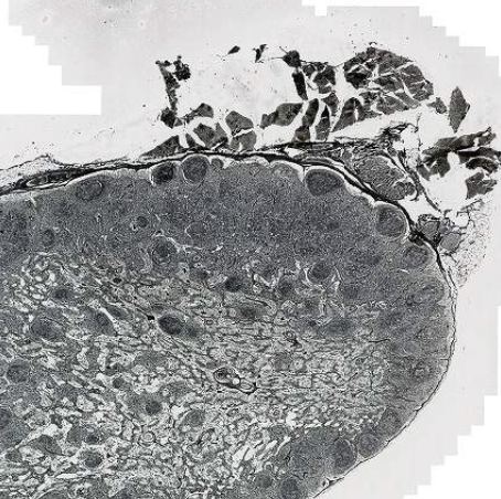 <p>What is this?</p>