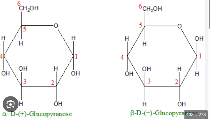 <p>C) They are anomers, differing only in the configuration of the hydroxyl group at the hemiacetal carbon (C-1).</p><p></p><p></p>