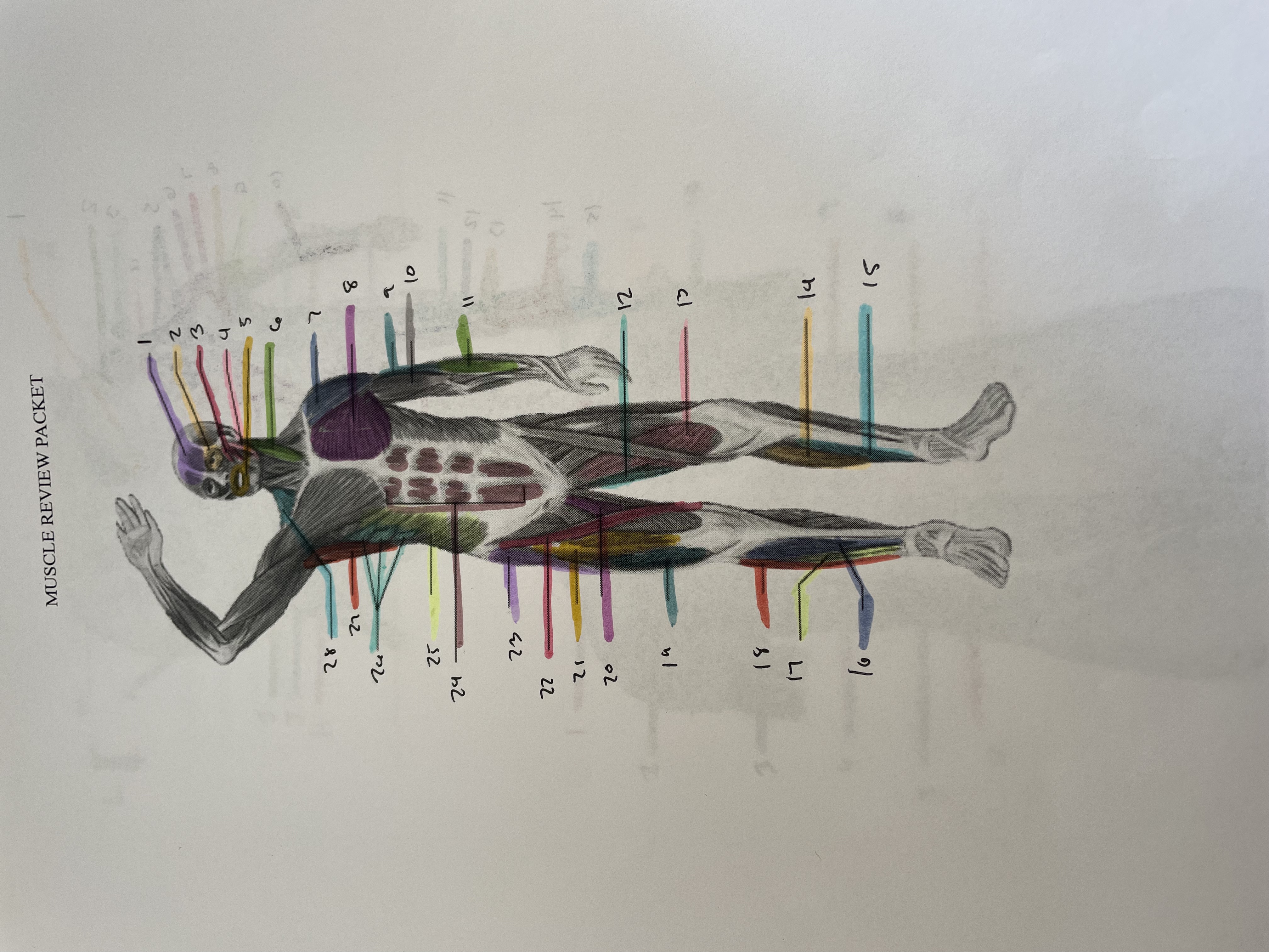 <p>21</p>