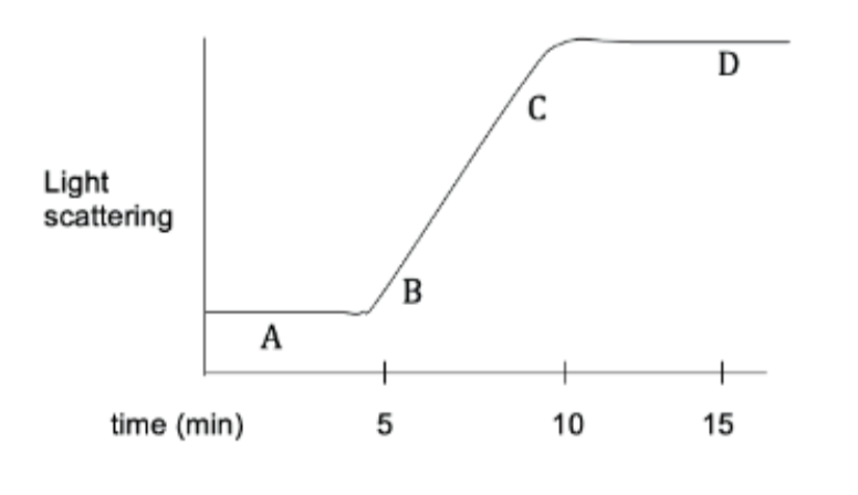 <p>The addition of formin at one of the time points (A, B, C, D) will shorten the phase. Which time point would you add formin to speed up growth?</p><p>A. A</p><p>B. B</p><p>C. C</p><p>D. D</p>