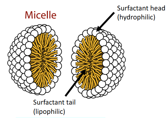 <p>Hartley Surfactant Micelle model?</p>