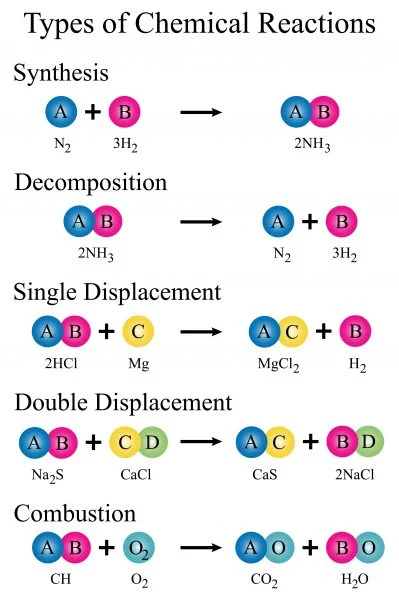 <ol><li><p>Decomposition</p></li><li><p>Single displacement</p></li><li><p>Double displacement</p></li><li><p>Combination (synthesis)</p></li><li><p>Combustion</p></li></ol>