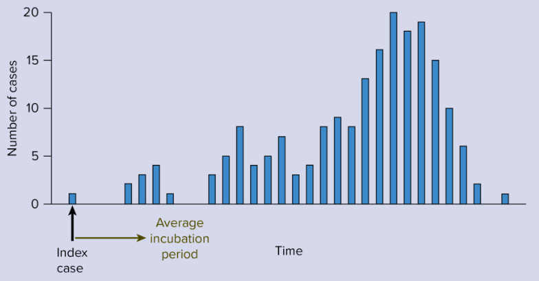 <p>Propagated epidemic</p>