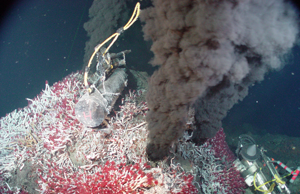<p>Underwater oases where tectonic activity causes water to seep into the Earth’s crust, heat up, and release metals and ions. These vents support unique microbes that use  <strong>hydrogen sulfide</strong> for energy.</p><ul><li><p>so much life around here like shrimp and worms, which is possible due to microbes</p></li><li><p>high pressure and high heat.</p></li></ul><p></p><p></p>