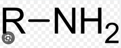 R-NH2 (amino group)