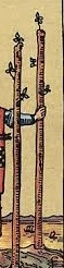 <p>Vertical Line</p>
