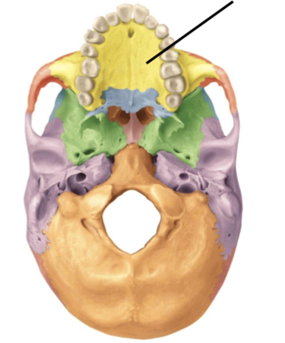 knowt flashcard image