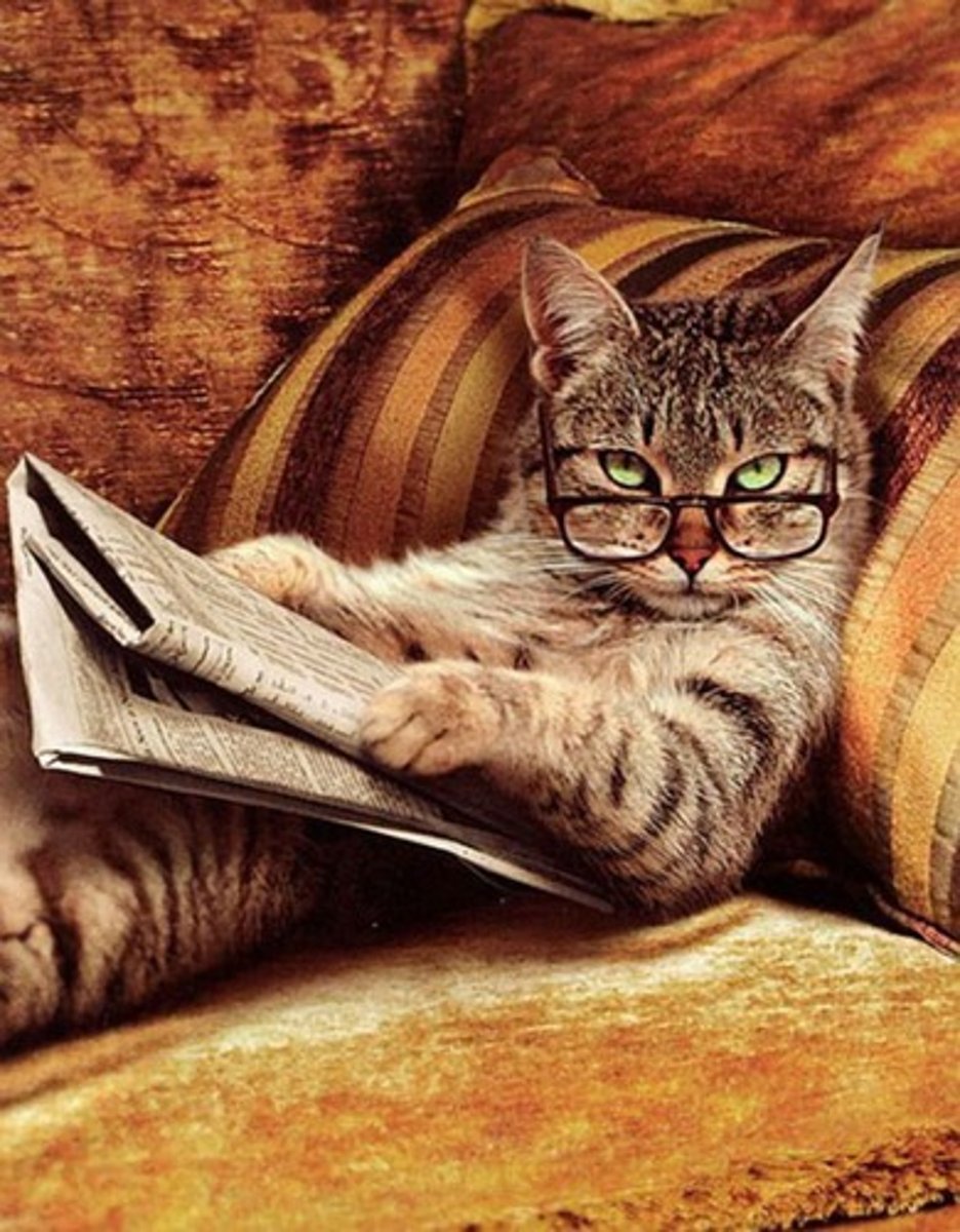 <p>complex or intricate</p>