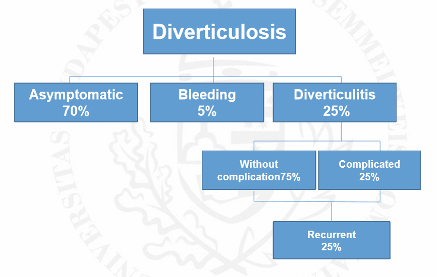 <ul><li><p>Acute, uncomplicated → inflammation without perforation or abscess</p></li><li><p>Acute, complicated → disturbed integrity of bowel wall → Hinchey classificaiton</p><ul><li><p>Chronic diverticulitis → steatosis, fistulas</p></li><li><p>Diverticular bleeding</p></li></ul></li></ul><p></p>