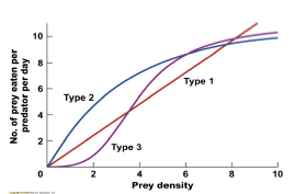<p>Which statements about the graph are correct?</p>