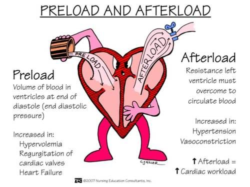 <p>the resistance the blood experiences as it leaves the ventricle</p><p>increased afterload = decreased stroke volume</p>