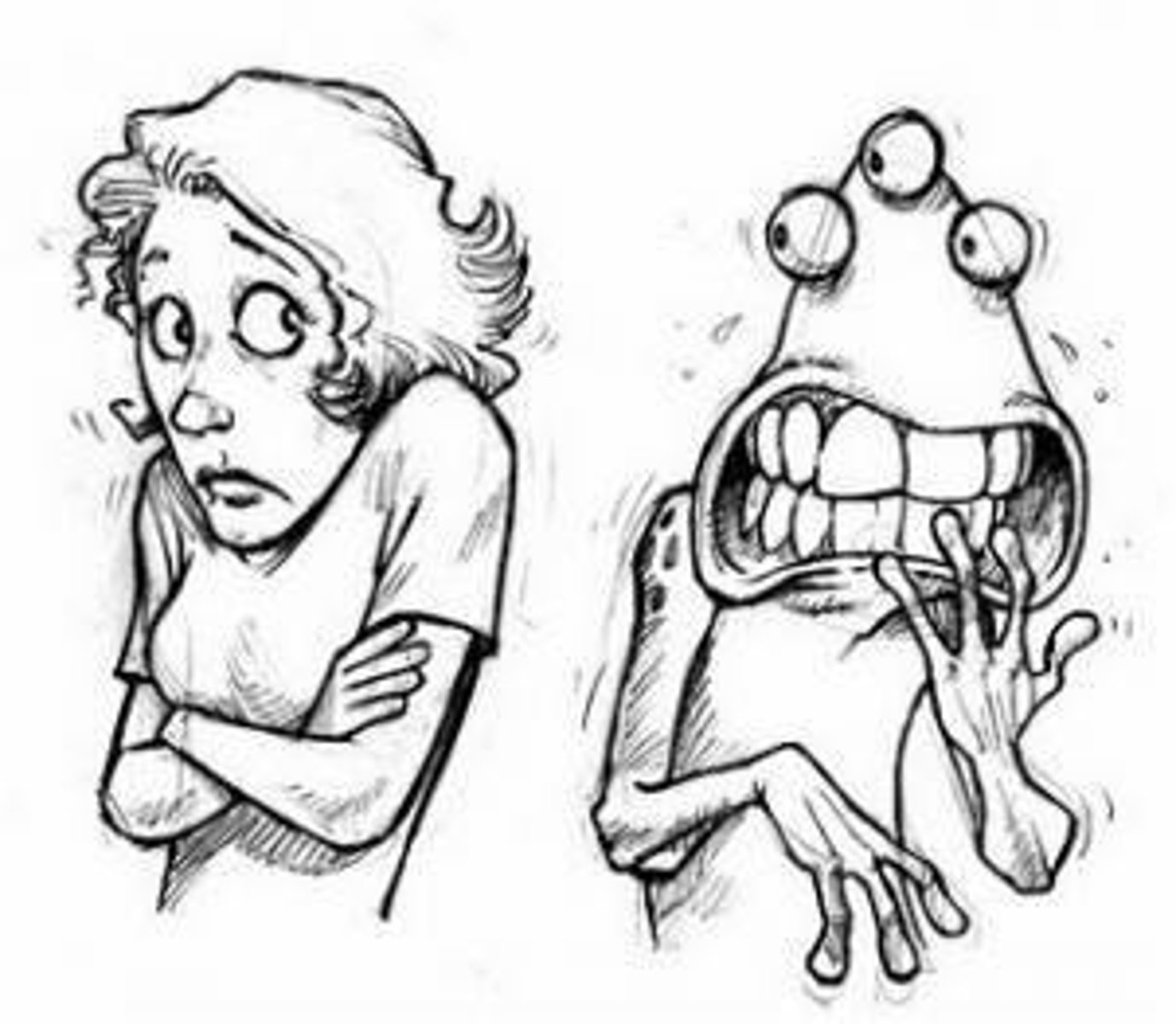<p>a fear or hatred of foreigners or strangers</p>