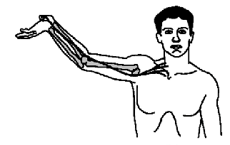 <p>median N</p><p>C5-7</p>