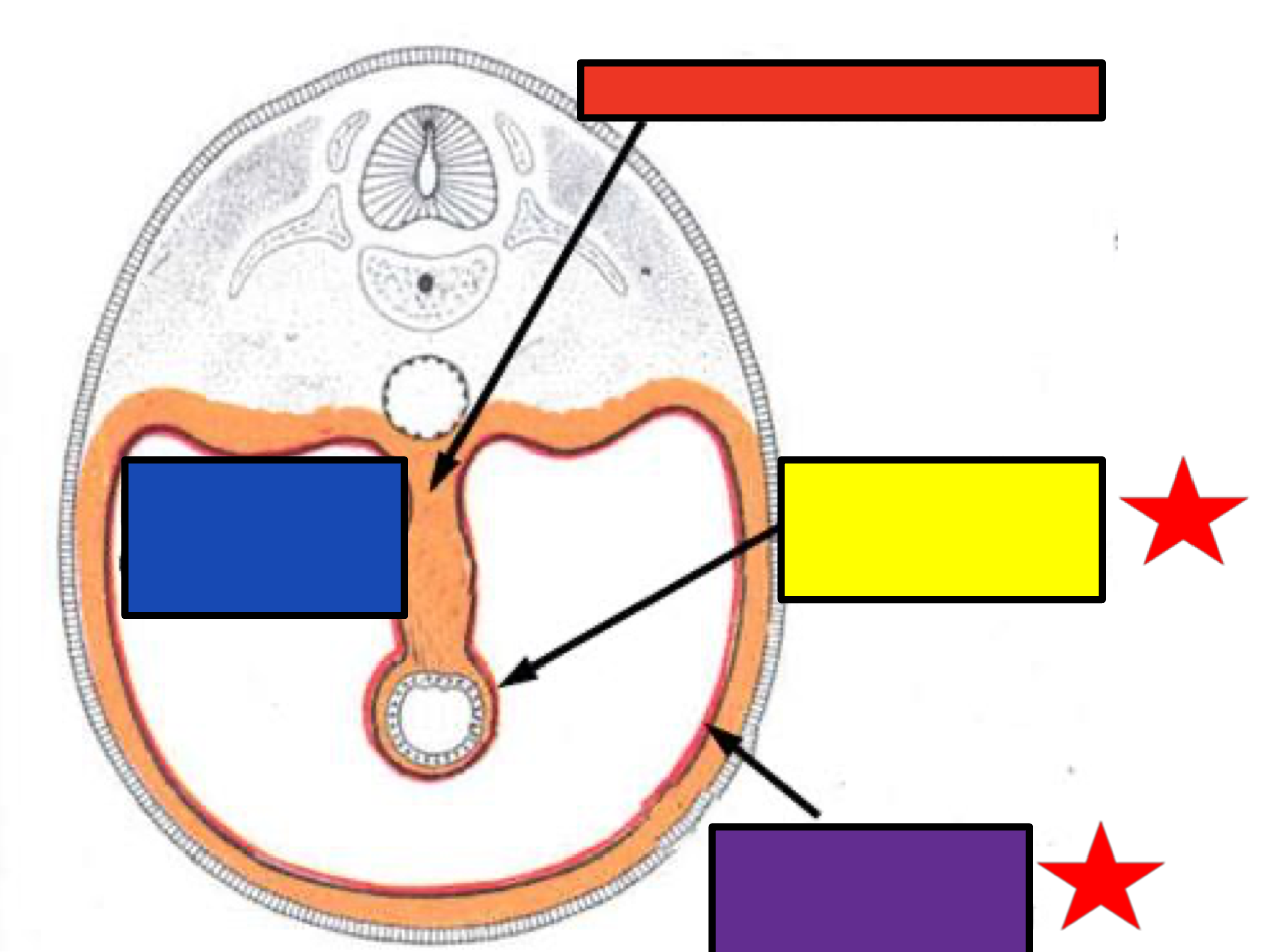 <p>What does the blue box refer to?</p>