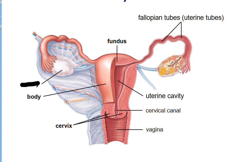 <p>What is this?</p>