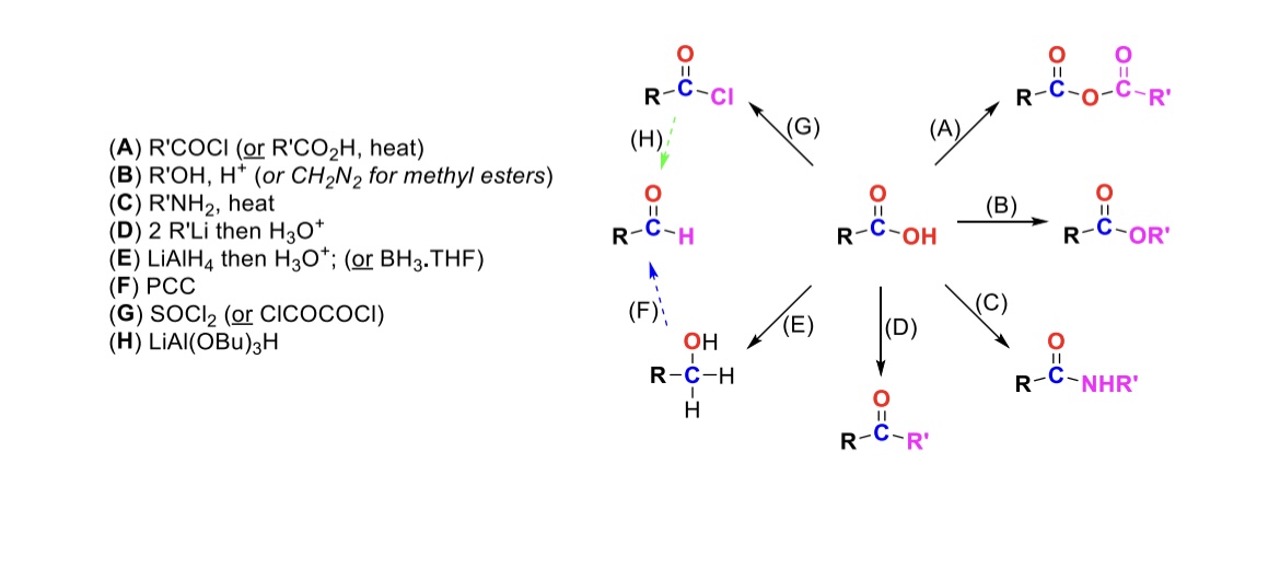 <p>Carboxylic acid is turned into a ketone (OH is substituted w/ an R group)</p>