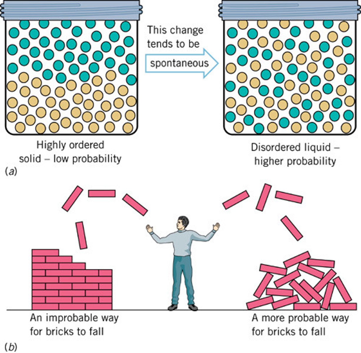 <p>Every energy transfer or transformation increases the entropy of the universe.</p>
