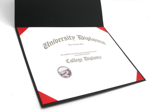 <p>bachelor´s degree</p>