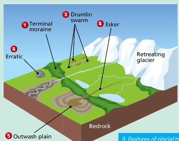 <p>terminal moraine</p><p>drumlin</p><p>erratic</p><p>esker</p><p>outwash plain</p>