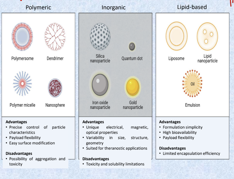 <ul><li><p>polymeric</p><ul><li><p>examples</p><ul><li><p>polymersome</p></li><li><p>dendrimer</p></li><li><p>polymer micelle</p></li><li><p>nanosphere</p></li></ul></li><li><p>advantages</p><ul><li><p>precise control of particle characteristics</p></li><li><p>payload flexibility</p></li><li><p>easy surface modifcation</p></li></ul></li><li><p>disadvantages</p><ul><li><p>possibility of aggregation and toxicity</p></li></ul></li></ul></li><li><p>inorganic</p><ul><li><p>examples</p><ul><li><p>silica nanoparticle</p></li><li><p>quantum dot</p></li><li><p>iron oxide nanoparticle</p></li><li><p>gold nanoparticle</p></li></ul></li><li><p>advantages</p><ul><li><p>unique electrical, magnetic, optical properties</p></li><li><p>variability in size, structure, geometry</p></li><li><p>suited for theranostic applications</p></li></ul></li><li><p>disadvantages</p><ul><li><p>toxicity and solubility limitations</p></li></ul></li></ul></li><li><p>lipid-based</p><ul><li><p>examples</p><ul><li><p>liposome</p></li><li><p>lipid nanoparticle</p></li><li><p>emulsion</p></li></ul></li><li><p>advantages</p><ul><li><p>formulation simplicity</p></li><li><p>high bioavailability</p></li><li><p>payload flexibility</p></li></ul></li><li><p>disadvantages</p><ul><li><p>limited encapsulation efficiency</p></li></ul></li></ul></li></ul><p></p>