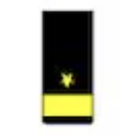 <p>One gold 2-inch stripe below a gold five pointed star (O7)</p>