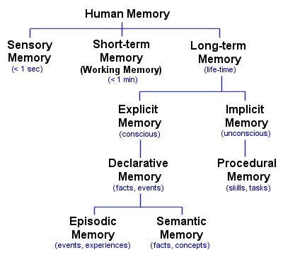 explicit memory: trying to memorize (conscious) --> declarative memory (facts, events, what happened) --> episodic memory (events, experiences) OR semantic memory (facts/concepts)

implicit memory: unconscious memory --> procedural memory (skills/tasks)

LEDES LIP