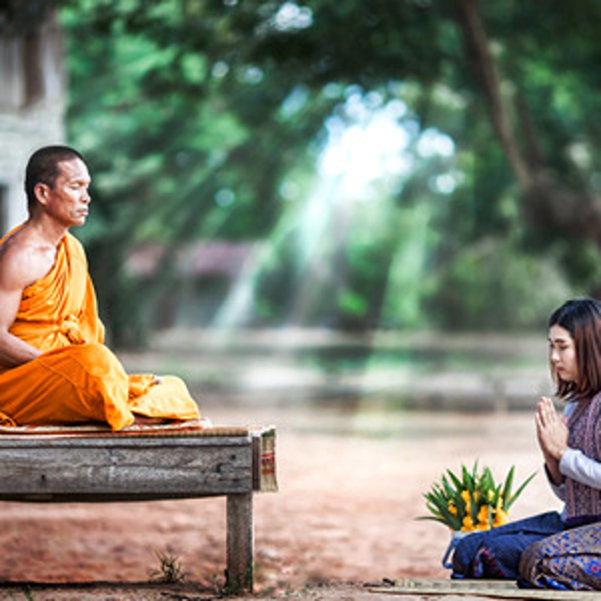<p>(adj) Having wisdom and good judgment.</p><p>(n) 1. A person known for wisdom and good judgment.</p><p>2. An aromatic grayish-green plant used in cooking.</p>