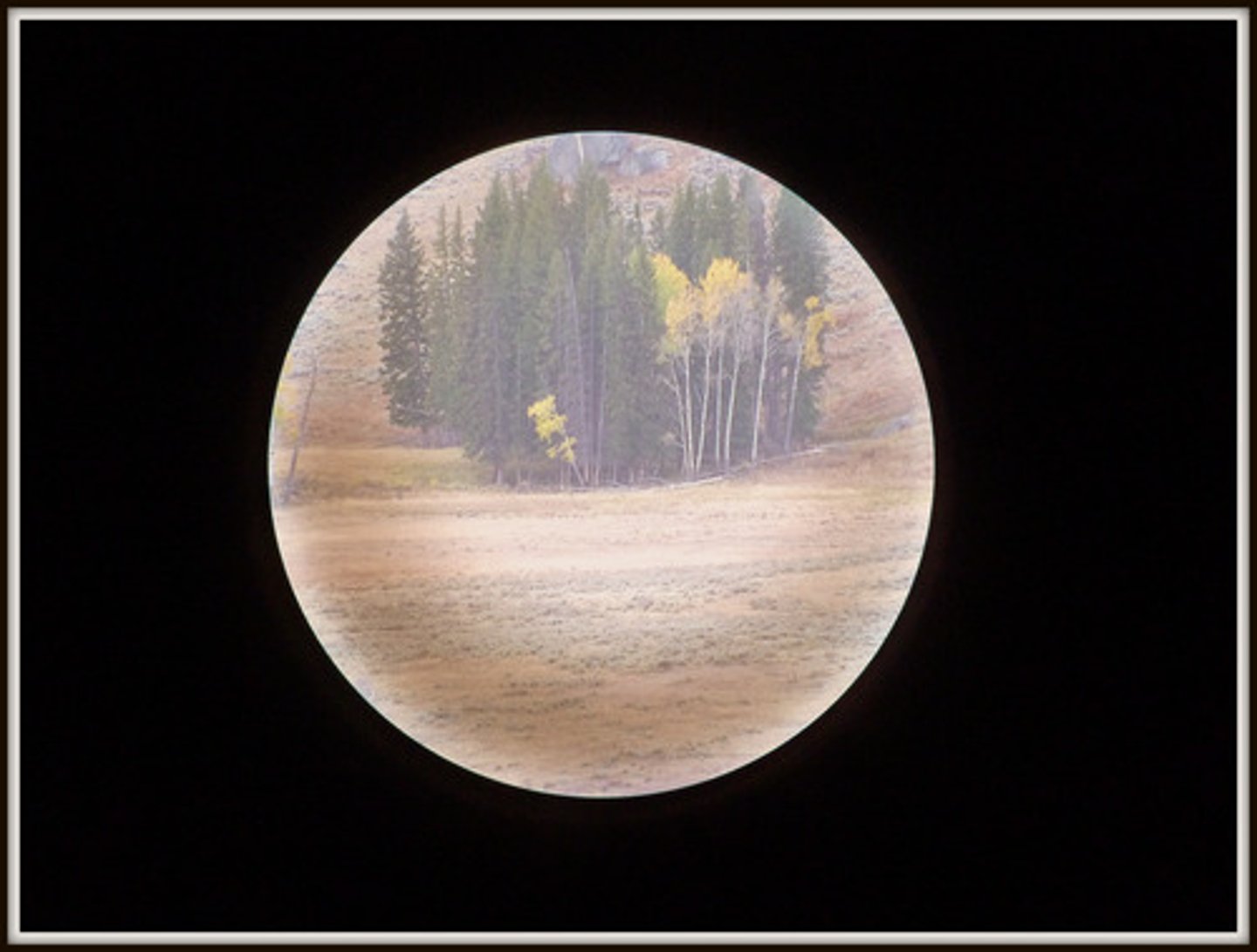 <p>the range of things that a subject, activity, or situation includes or deals with</p>