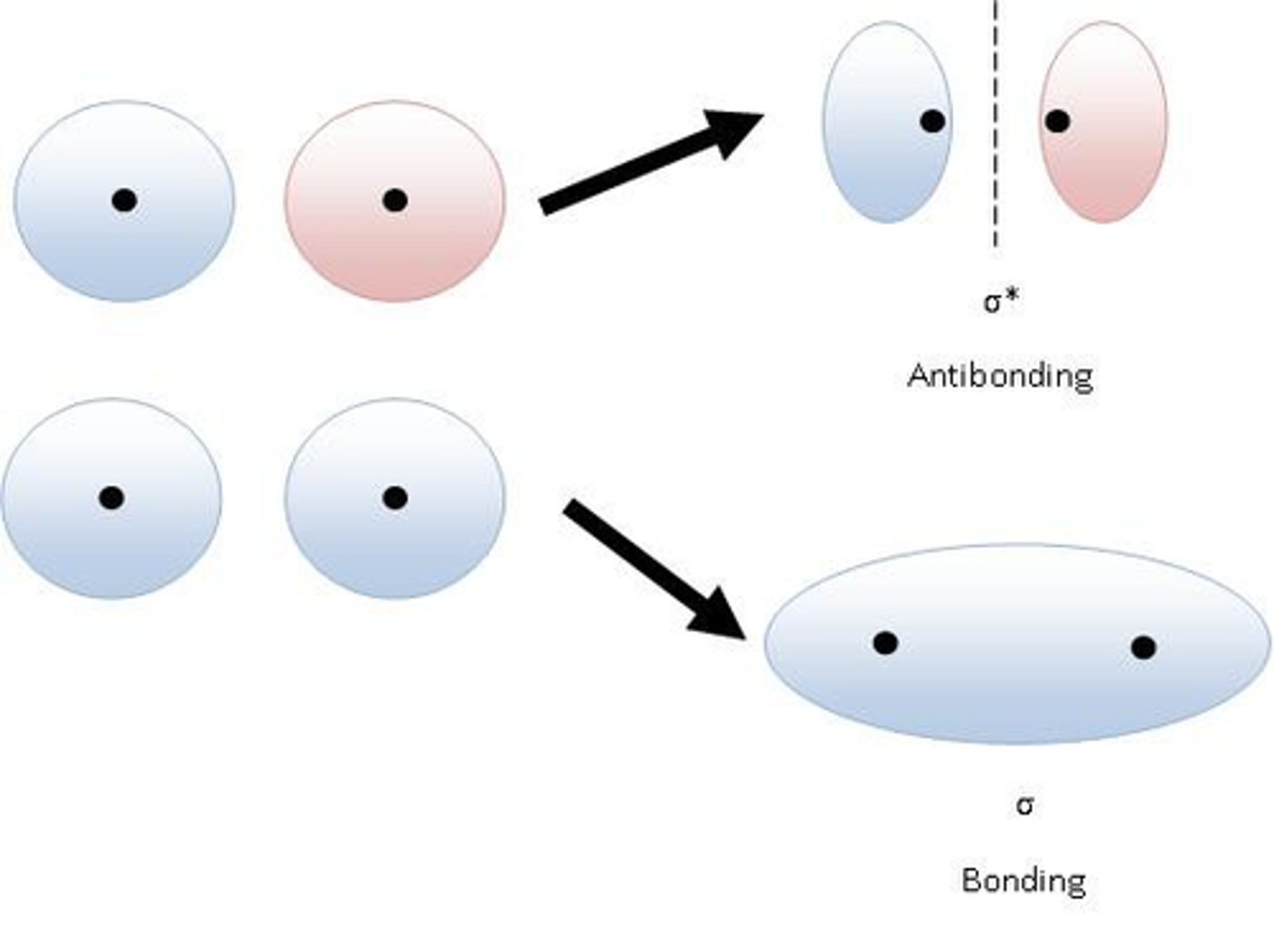 <p>When two atoms combine, their atomic orbitals overlap to produce orbitals that apply to the entire molecule.</p>