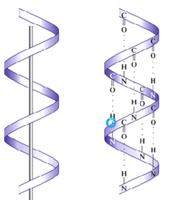 <p>Which structure is this?</p>