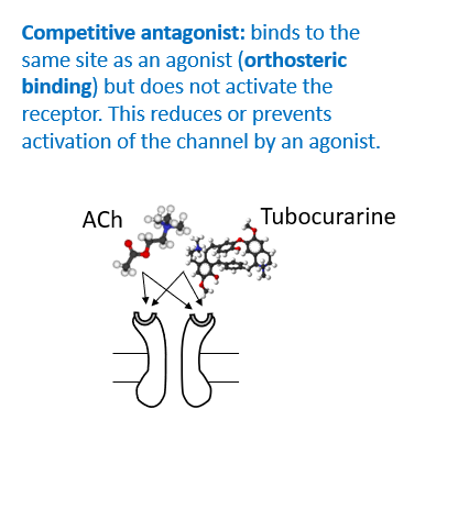<p>Binds to the same site as an agonist (orthosteric binding) but does not activate the receptor. Reduces or prevents activation of the channel by an agonist.</p>