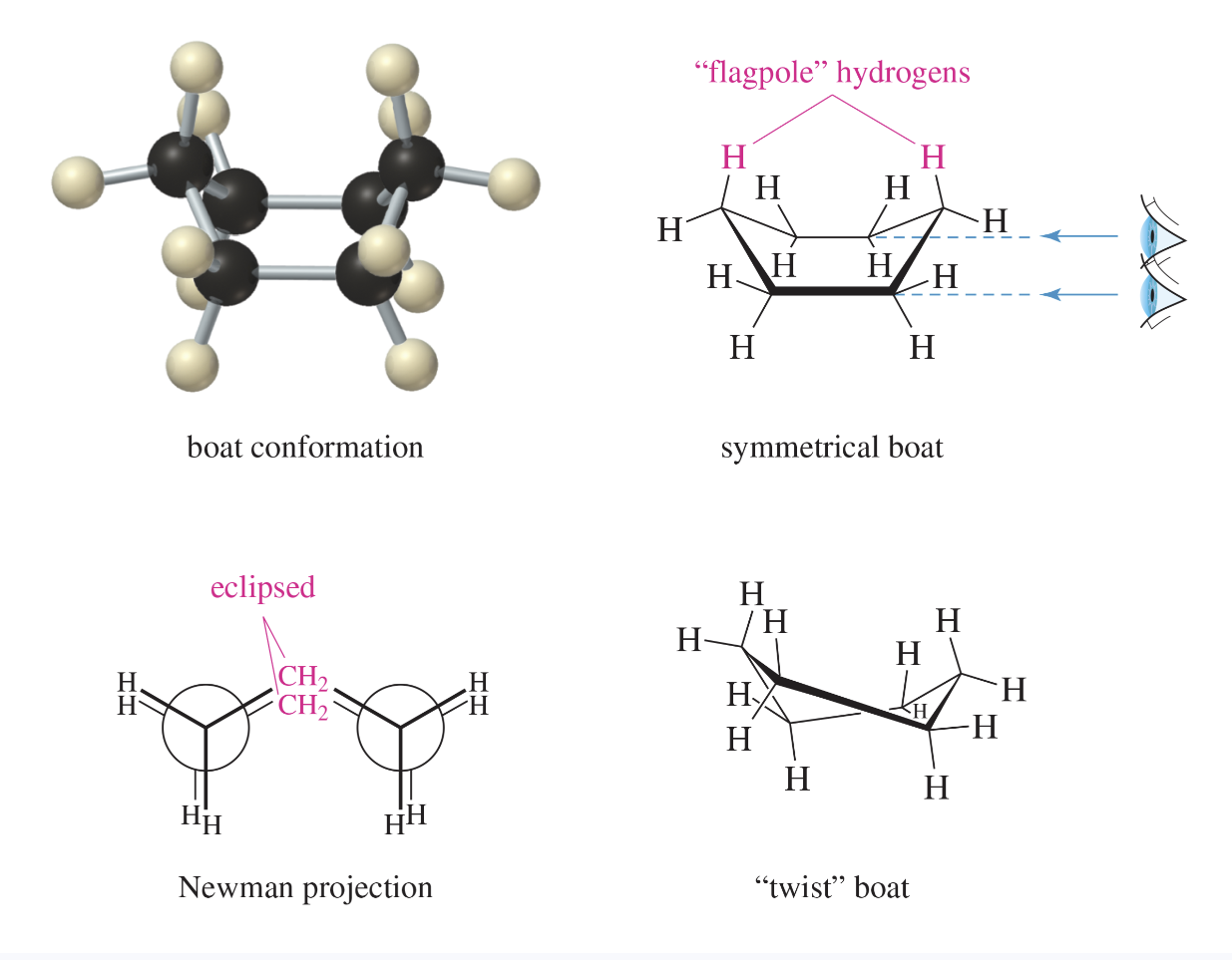 <p>boat conformation</p>