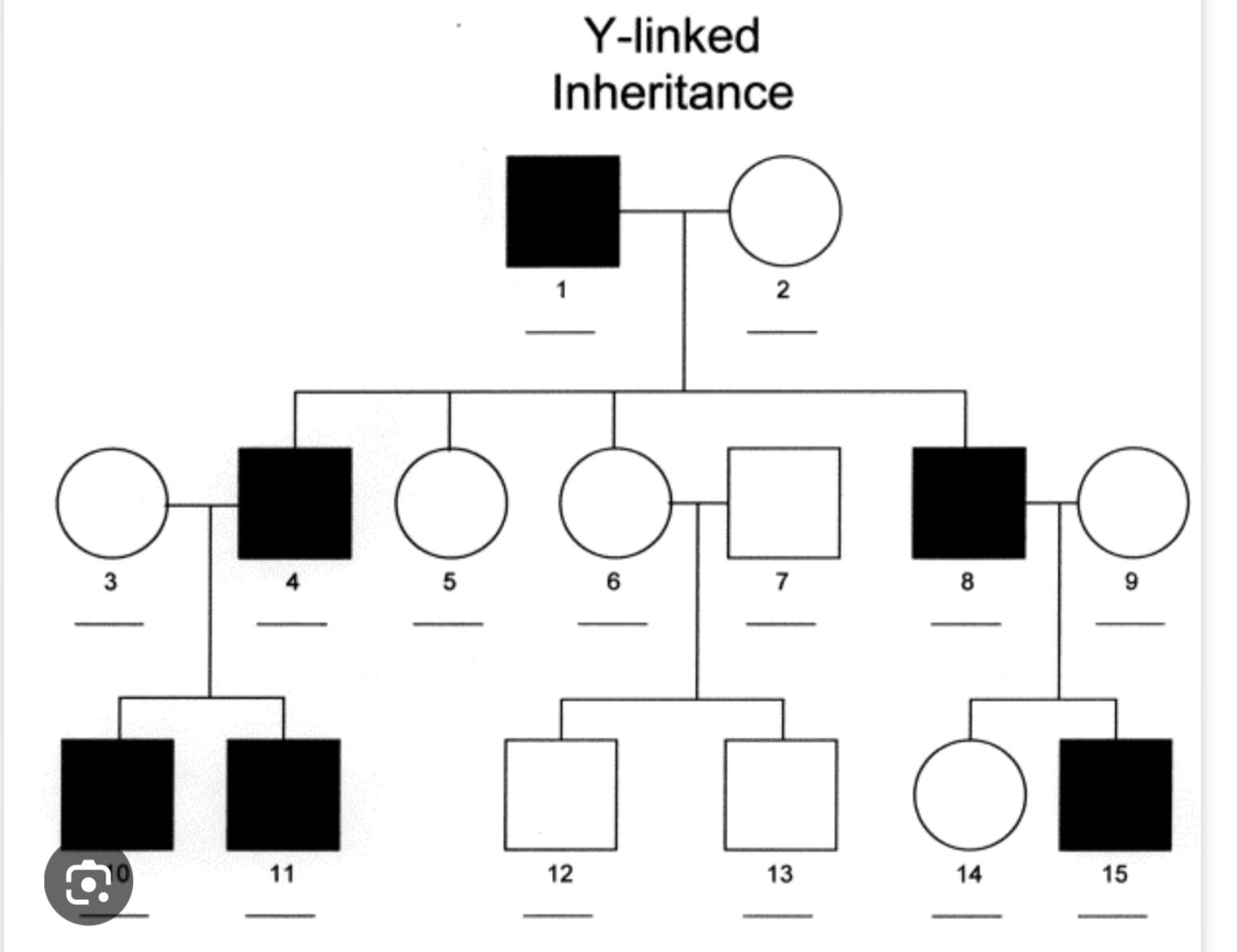 <p>Direct line of paternal inheritance</p><p>Y-chromosome likely contains between 70-200 genes (very small amount)</p><p>Deletion of these genes cause highly penetrative disorders,</p>