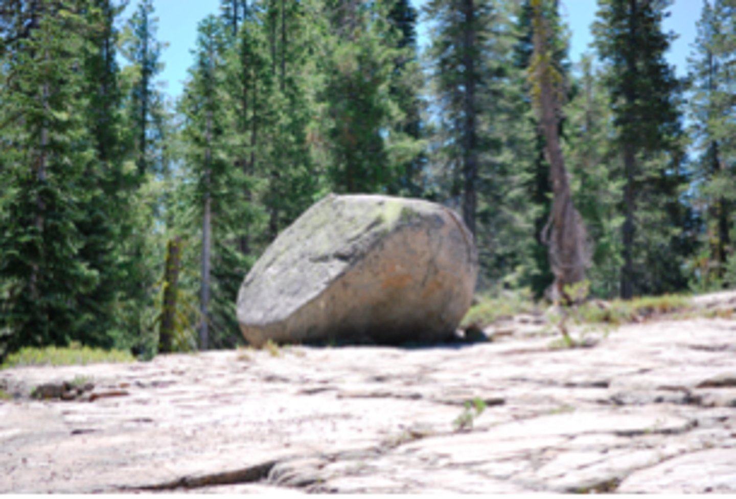 <p>Glacial erratic - a rock that has been transported by ice and deposited elsewhere</p>