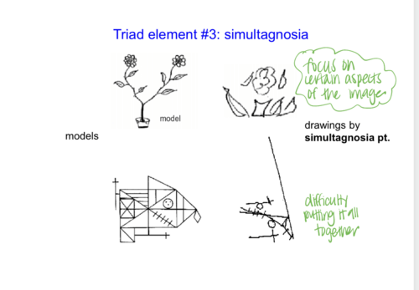 <p>What is simultagnosia?</p>