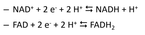 <p>adding electrons</p>