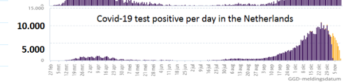 <p>covid-19 test positive per day in the netherlands</p>