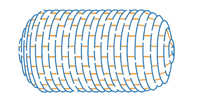 <p><span><span>Peptidoglycan</span></span></p>