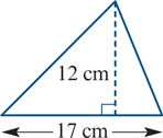 <p>find the area of the triangle</p>