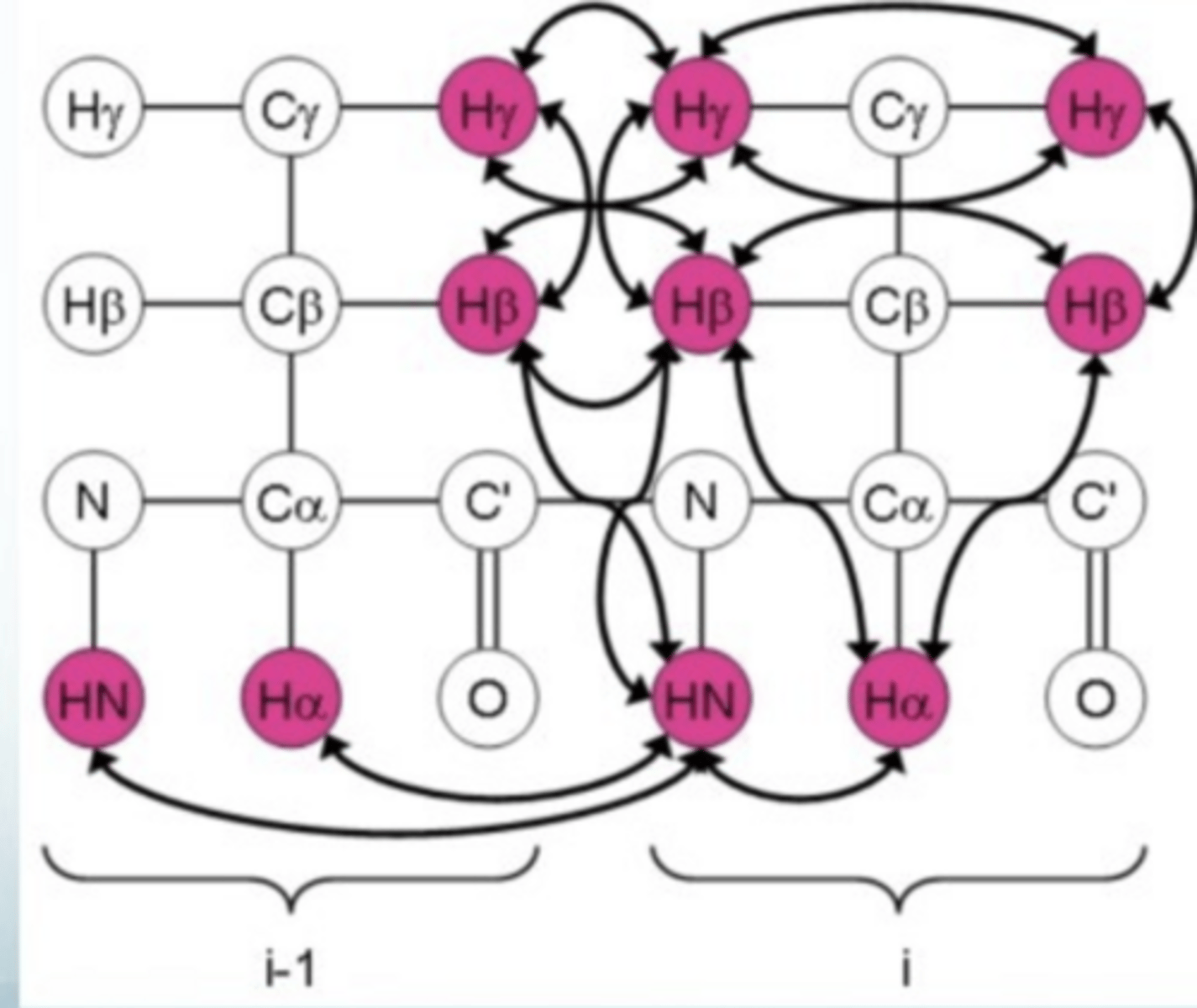 <p>useful for backbone assignment and structure determination</p><p>get proximity effect between neighbouring residues- determine secondary structure of proteins</p><p>measures changes in intensity depending on spatial arrangement</p><p>energy transfer is dipole-dipole bases relaxation through space</p>