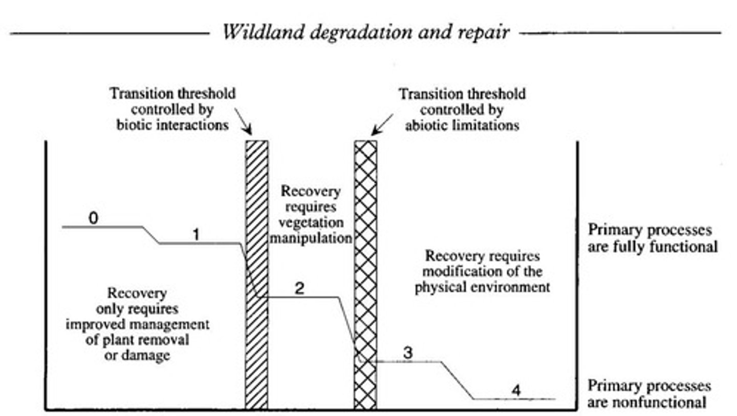 <p>Biotic recovery mechanisms operate to restore sustainable flows of resources.</p>