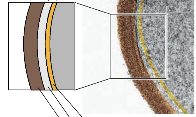 <p></p><p></p><p>What is this a photo of?</p>