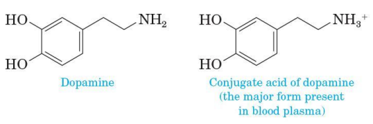 <p>if dissolved in blood, it is present predominantly as its protonated (conjugated acid) form</p>