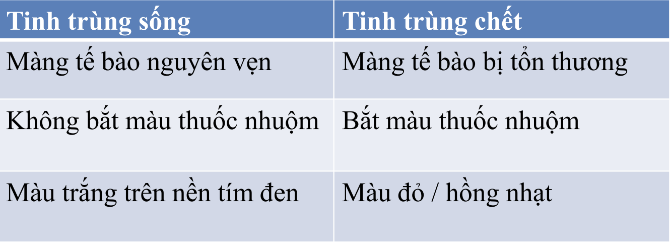 <p>Tinh trùng chết</p>