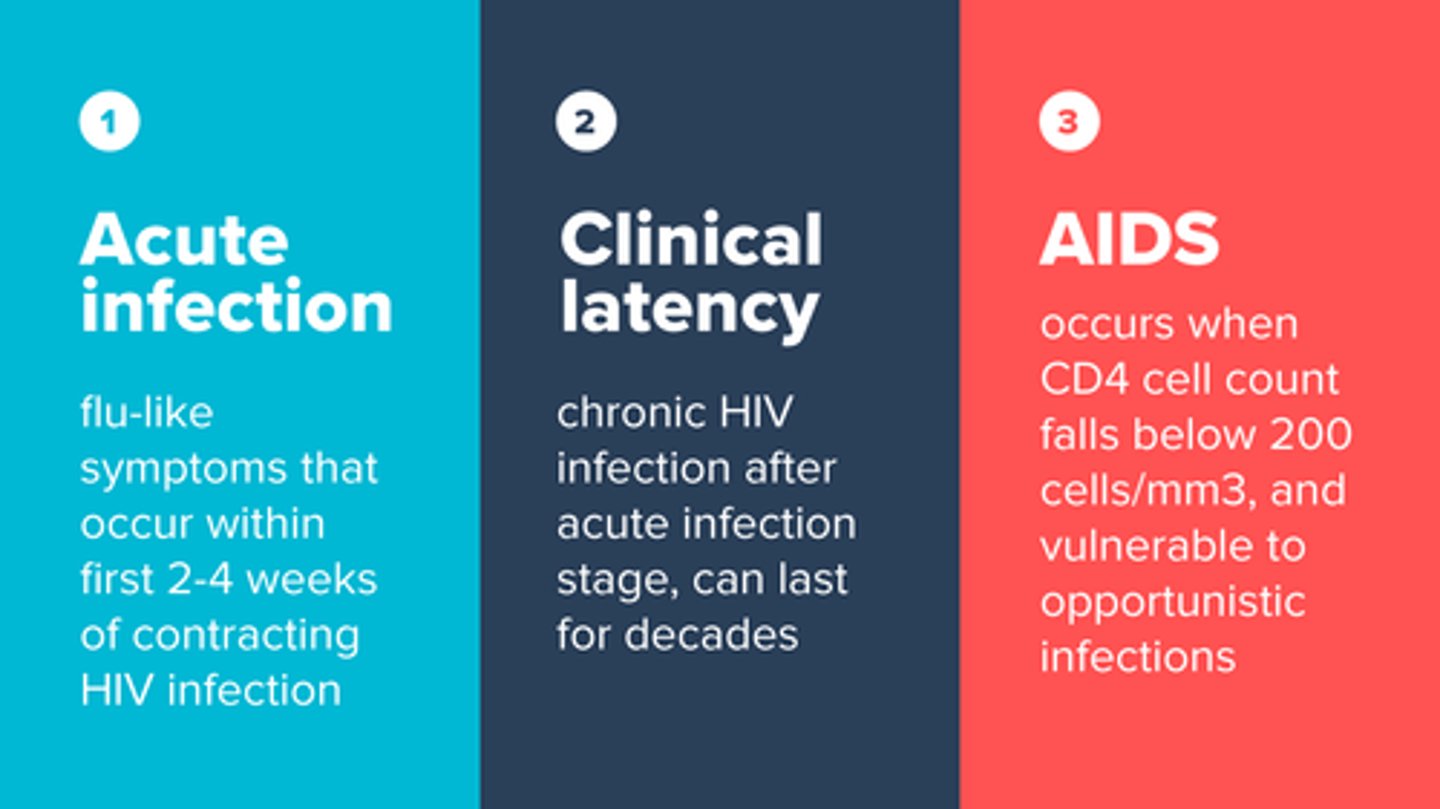 <p>CD4+ count 20% below normal, venerable to opportunistic infections like kaposi sarcoma.</p>