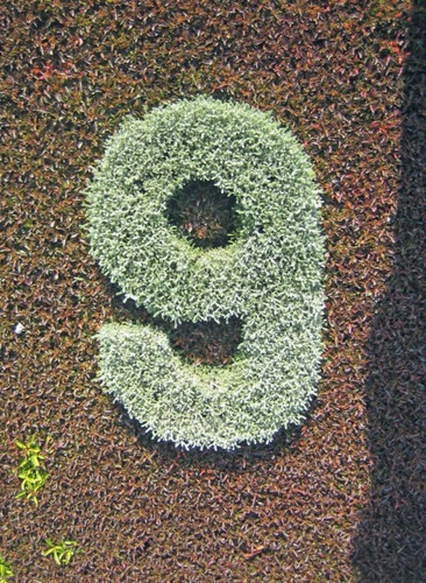 <p>jiǔ девять</p>