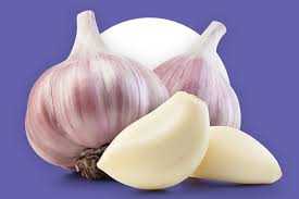 <p>The garlic</p><p>The garlic did not taste good</p>